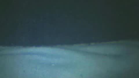 Snapshot of castells chatting on 02-20-25, 05:18 castells online show from 02-20-25, 05:18