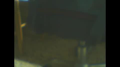 castells online show from 10-20-25, 05:02