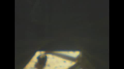 Snapshot of castells chatting on 01-08-26, 05:59 castells online show from 01-08-26, 05:59