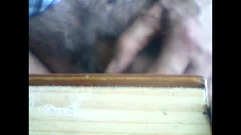 castells online show from 06-05-26, 02:56