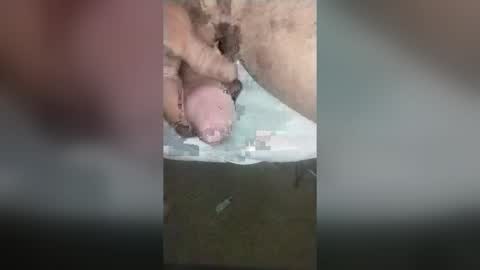 catdaddy179057 online show from 06-14-26, 03:14
