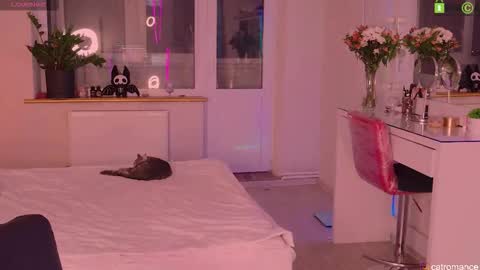 Snapshot of catromance chatting on 11-21-25, 08:40 Katerina online show from 11-21-25, 08:40