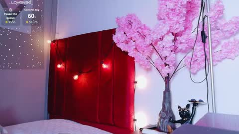 CATALEYA  online show from 04-05-26, 07:33