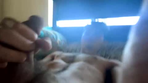 Snapshot of cb2439 chatting on 10-31-25, 06:53 cb2439 online show from 10-31-25, 06:53