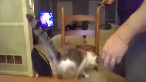 cbisc online show from 03-28-26, 12:10