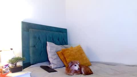 Cedrixx10 online show from 02-28-26, 10:00