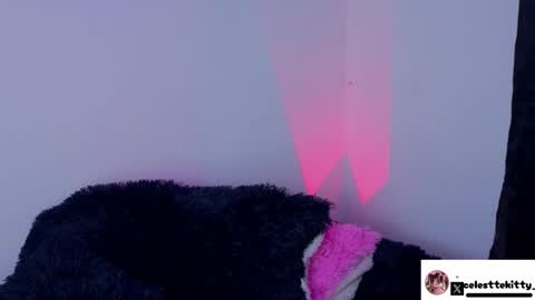 celestte_evans_1 online show from 02-08-26, 06:17