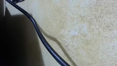 celhoduro23c online show from 11-28-25, 08:55