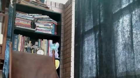 Snapshot of cguffey2284 chatting on 02-18-25, 04:05 cguffey2284 online show from 02-18-25, 04:05