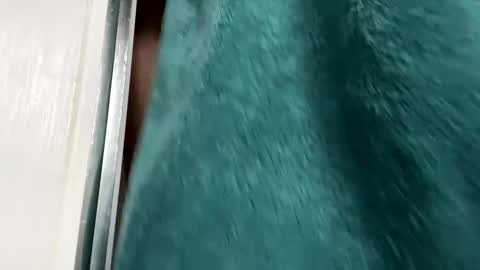 Snapshot of charlieg123 chatting on 11-29-25, 08:50 Gary online show from 11-29-25, 08:50