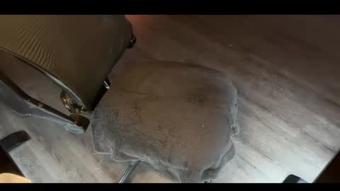 Snapshot of charlietango_live chatting on 11-12-25, 02:01 CharlieTango Live online show from 11-12-25, 02:01