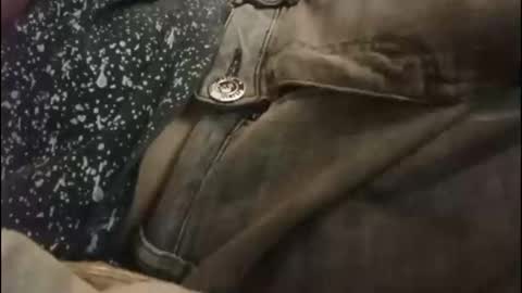 Boogog online show from 09-15-25, 05:40