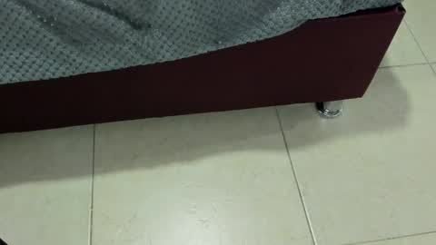 Charlott online show from 12-13-24, 07:43