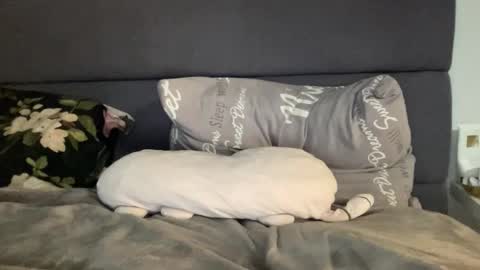 Snapshot of chase_vicky chatting on 09-19-25, 07:36 Vicky online show from 09-19-25, 07:36