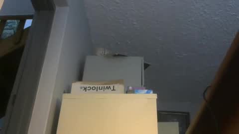 chaturbatordeluxe online show from 11-17-25, 03:34