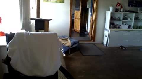 chefben666 online show from 04-11-26, 09:24