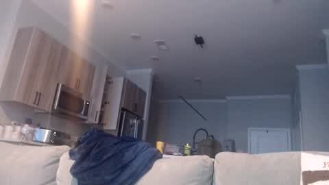 Snapshot of chefdev chatting on 11-19-25, 03:45 Chef Dev XXX online show from 11-19-25, 03:45