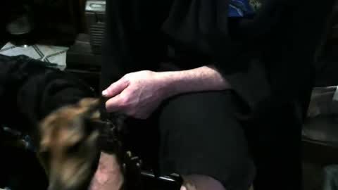 chefy online show from 12-03-25, 11:41