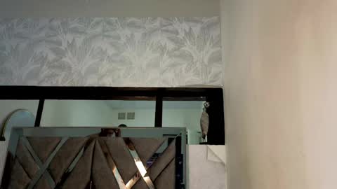   online show from 04-15-26, 02:40