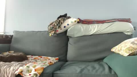 Chelsea online show from 12-27-24, 07:35