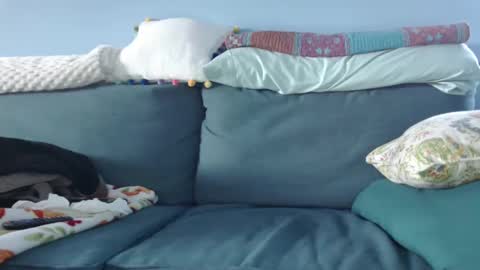 Chelsea online show from 01-15-25, 08:37