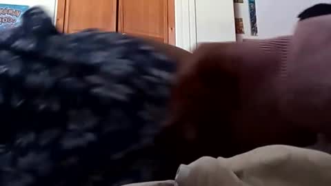 Snapshot of chemicalx_ chatting on 03-09-26, 08:13 ChemicalX online show from 03-09-26, 08:13