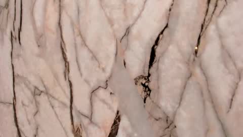 Snapshot of cherry__sweet_ chatting on 11-22-25, 11:31 Emma online show from 11-22-25, 11:31