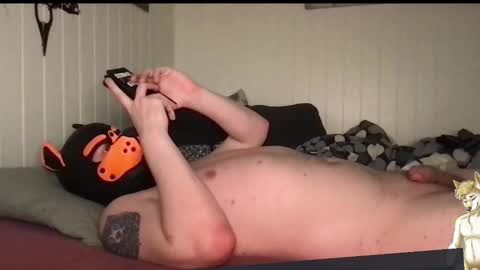 Snapshot of chestandbellyfetish chatting on 03-28-26, 05:34 ChestBellyFetish online show from 03-28-26, 05:34