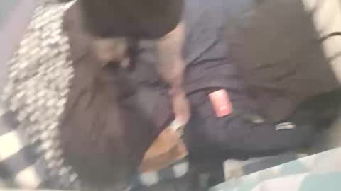 Snapshot of chev1981 chatting on 10-15-25, 11:21 Chevy online show from 10-15-25, 11:21