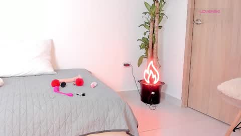    Schedule 7am to 2pm Col online show from 03-12-26, 12:00