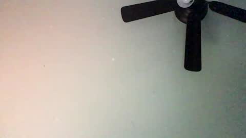 chippytits65 online show from 02-05-25, 04:25