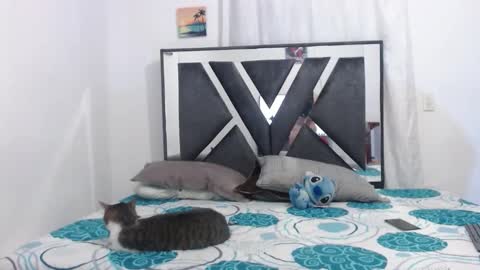 Chloe and Danna online show from 03-11-26, 12:16