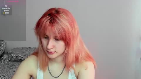 choco_meowx online show from 05-06-26, 08:41
