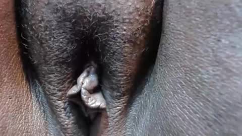 Snapshot of chocolatabig chatting on 11-09-25, 06:28 chocolatabig online show from 11-09-25, 06:28