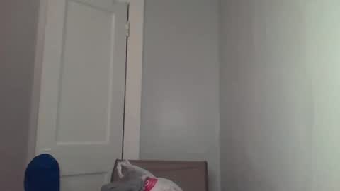 Snapshot of chocolatedolla chatting on 03-04-25, 02:27 chocolatedolla online show from 03-04-25, 02:27