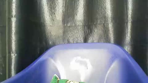 Snapshot of chocoslut22 chatting on 12-14-25, 03:45 chocoslut22 online show from 12-14-25, 03:45