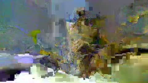 Snapshot of chuck354139 chatting on 02-13-25, 03:14 chuck354139 online show from 02-13-25, 03:14