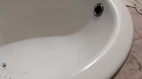 ciccilli online show from 10-26-25, 11:20