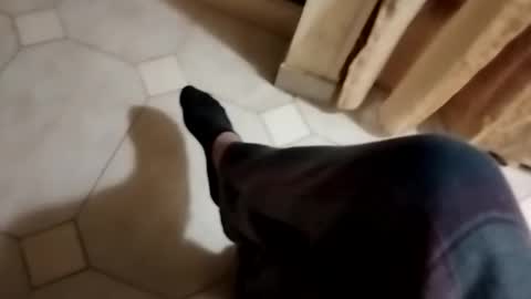 ciccilli online show from 10-28-25, 10:12