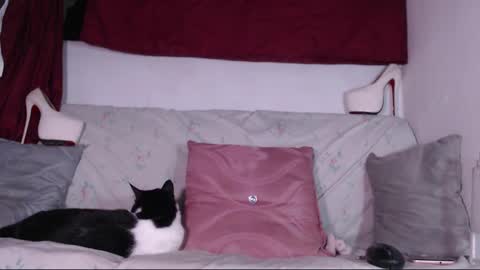 cicimom online show from 01-24-25, 03:32