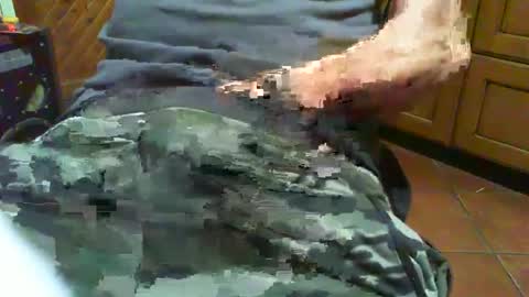 ciop1962 online show from 12-02-24, 07:05