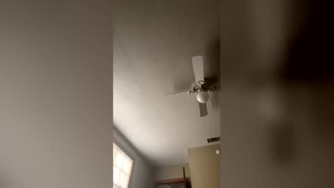 Snapshot of cm653925 chatting on 02-03-26, 01:38 cm653925 online show from 02-03-26, 01:38