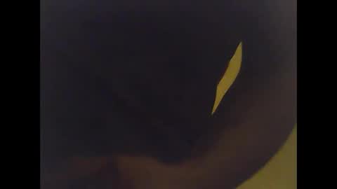 Snapshot of cobra1092 chatting on 02-02-26, 06:01 cobra1092 online show from 02-02-26, 06:01