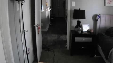 Snapshot of codieraye chatting on 12-12-24, 03:05 TheGoddessCodie online show from 12-12-24, 03:05