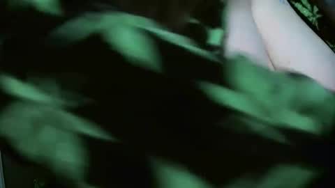 Snapshot of codieraye chatting on 12-29-24, 08:26 TheGoddessCodie online show from 12-29-24, 08:26