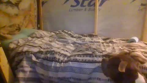 Snapshot of codmaster69 chatting on 02-13-26, 10:33 lickerpro69 online show from 02-13-26, 10:33