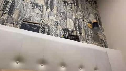 colambus83 online show from 04-23-26, 08:22