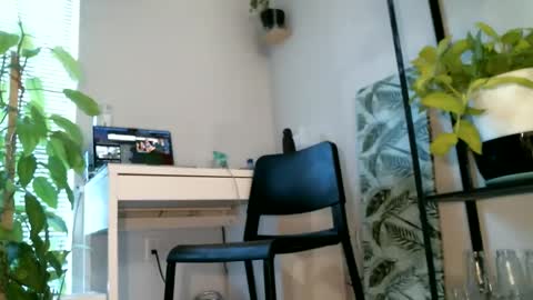 Snapshot of colorfullydark chatting on 02-28-25, 05:37 Noni online show from 02-28-25, 05:37