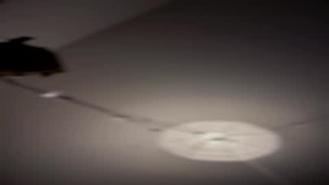 Snapshot of comefukme chatting on 08-02-26, 11:52 comefukme online show from 08-02-26, 11:52