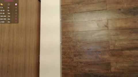 Snapshot of connor_h1 chatting on 01-15-25, 03:33 connor_h1 online show from 01-15-25, 03:33